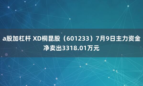 a股加杠杆 XD桐昆股（601233）7月9日主力资金净卖出3318.01万元